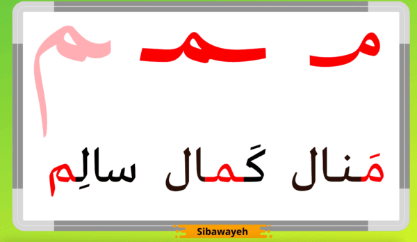 Cours d’arabe débutant :  Leçons/vidéos interactives – Image 5
