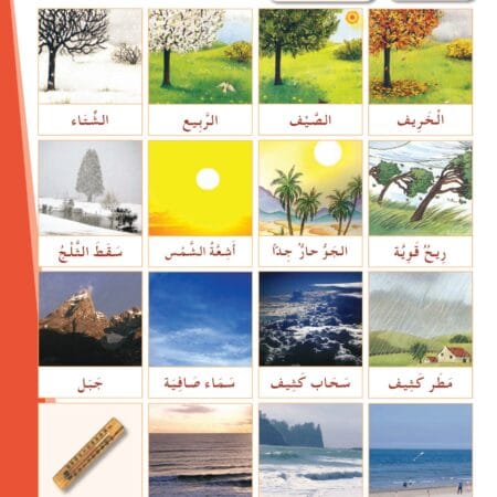 Manuels "Apprendre l’arabe pour les jeunes" – Niveau 2 العربية للشباب – Image 9