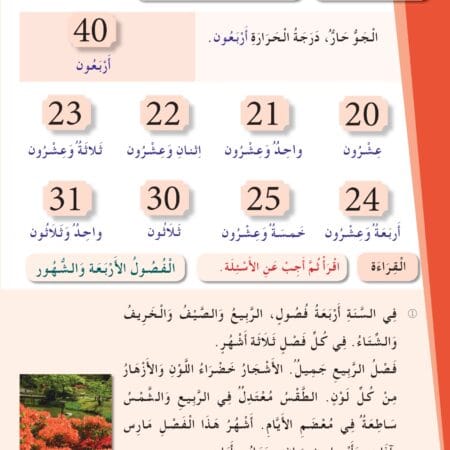 Manuels "Apprendre l’arabe pour les jeunes" – Niveau 2 العربية للشباب – Image 12