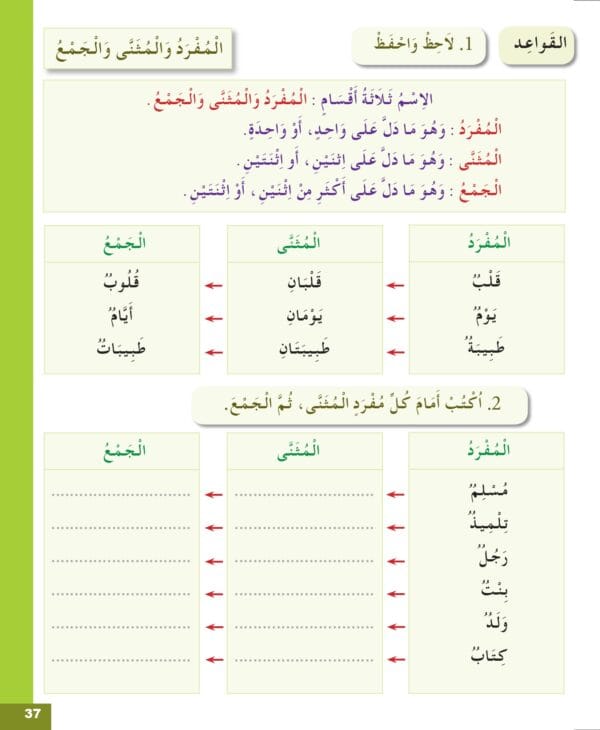 Manuels "Apprendre l’arabe pour les jeunes" – Niveau 2 العربية للشباب – Image 24
