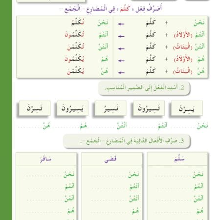 Manuels "Apprendre l’arabe pour les jeunes" – Niveau 2 العربية للشباب – Image 27
